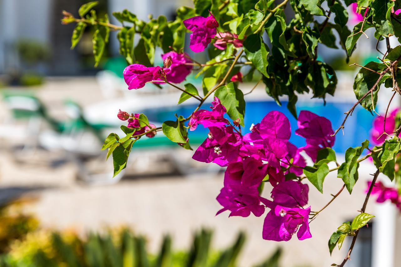 Kalina Hotel Datça Ngoại thất bức ảnh